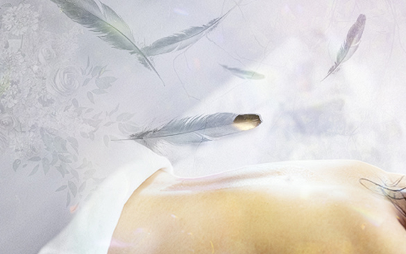 スペシャルコース